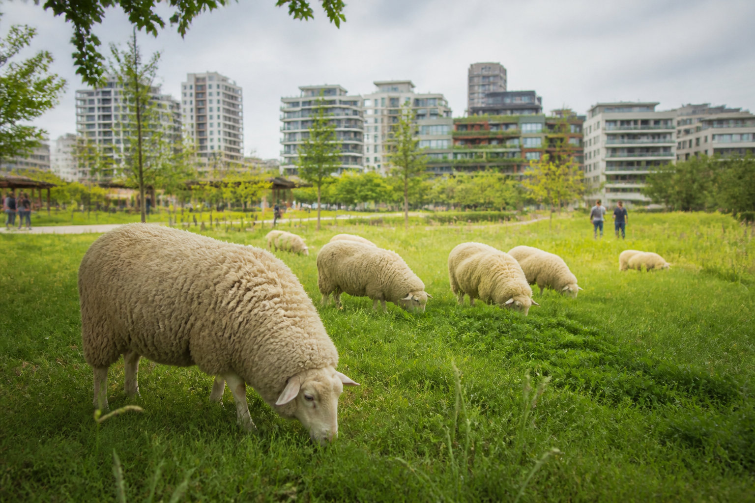 La ferme urbaine et l'engagement citoyen du parc